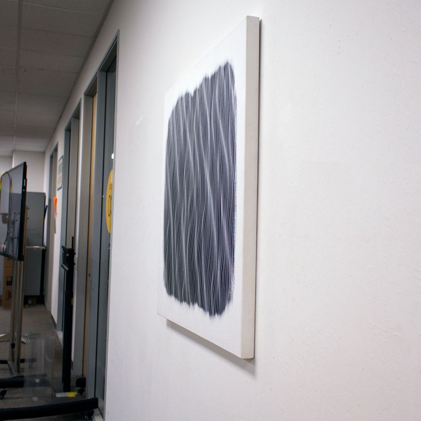 Black and White 3x3 feet (36x36 inch) - free shipping in continental USA