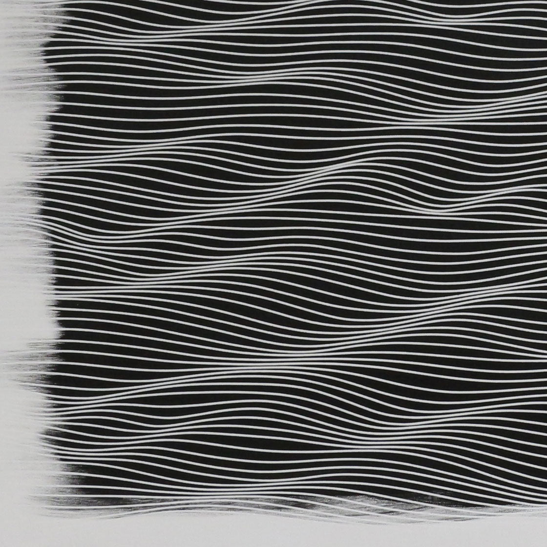 Original Classic Black - 36x48 - 3x4 feet - 2025 Free Shipping