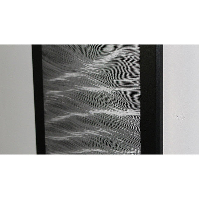 FREE SHIPPING - Black Forest Laminated Print - Reject D