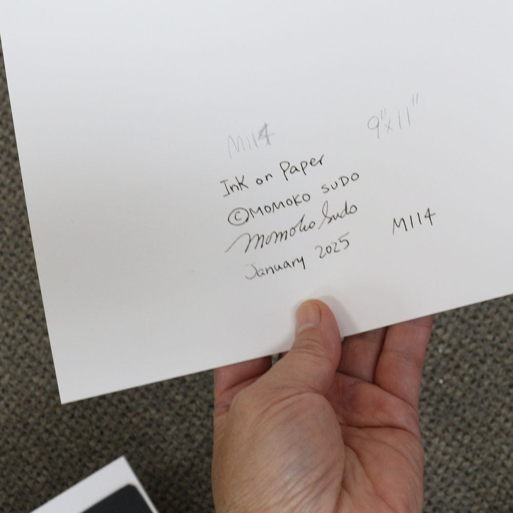 Original 9"x11" Ink Drawing on Paper M114