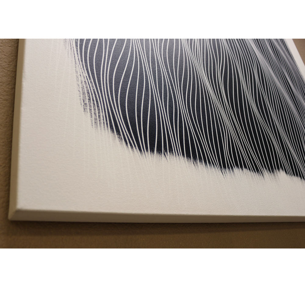 Black and White 3x3 feet (36x36 inch) - free shipping in continental USA