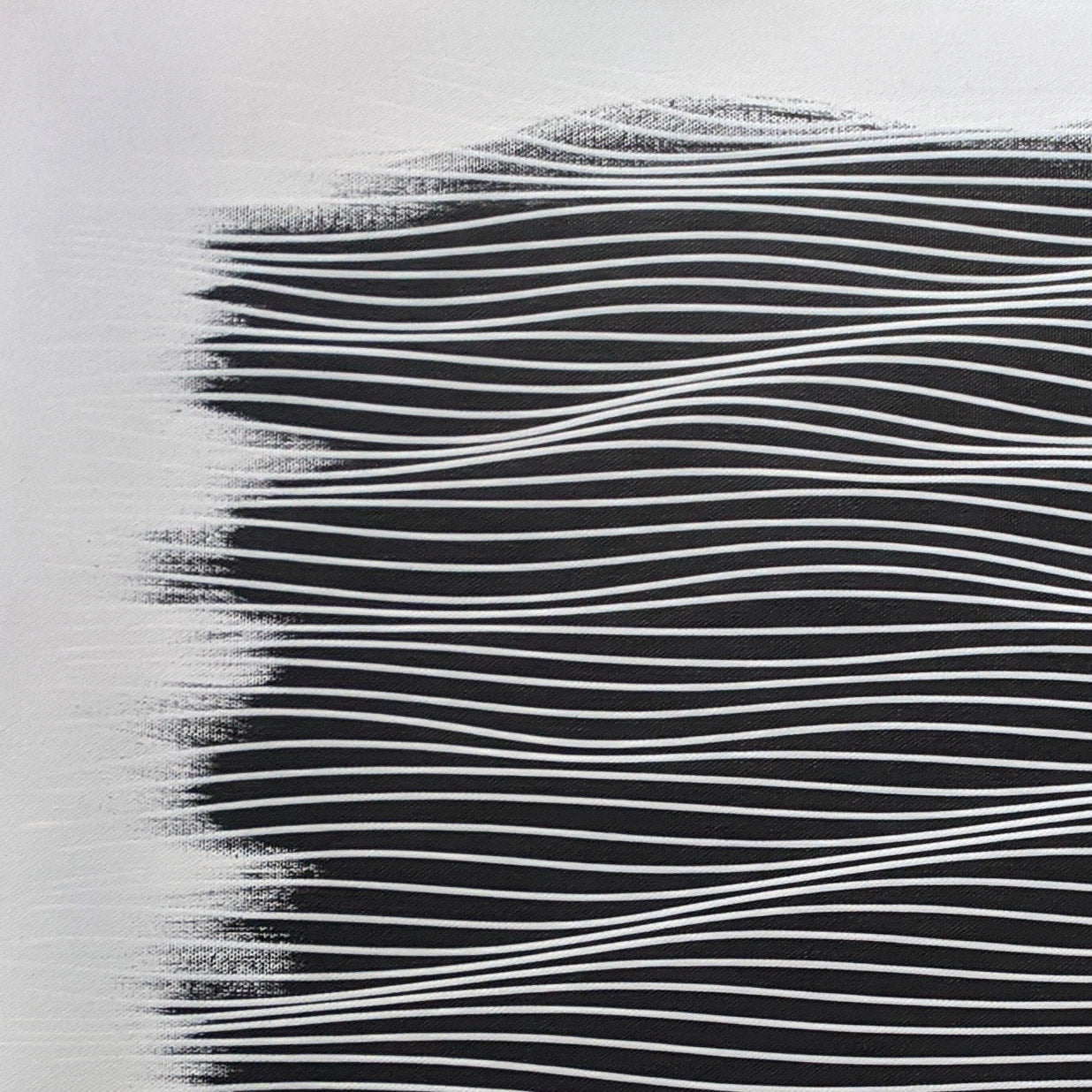 Classic Black 2x3 A - 2021 June - Free Shipping in USA