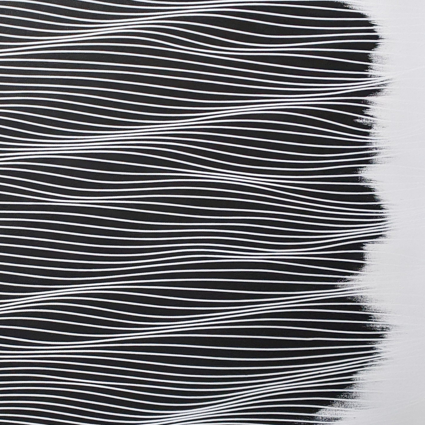 Classic Black 2x3 A - 2021 June - Free Shipping in USA