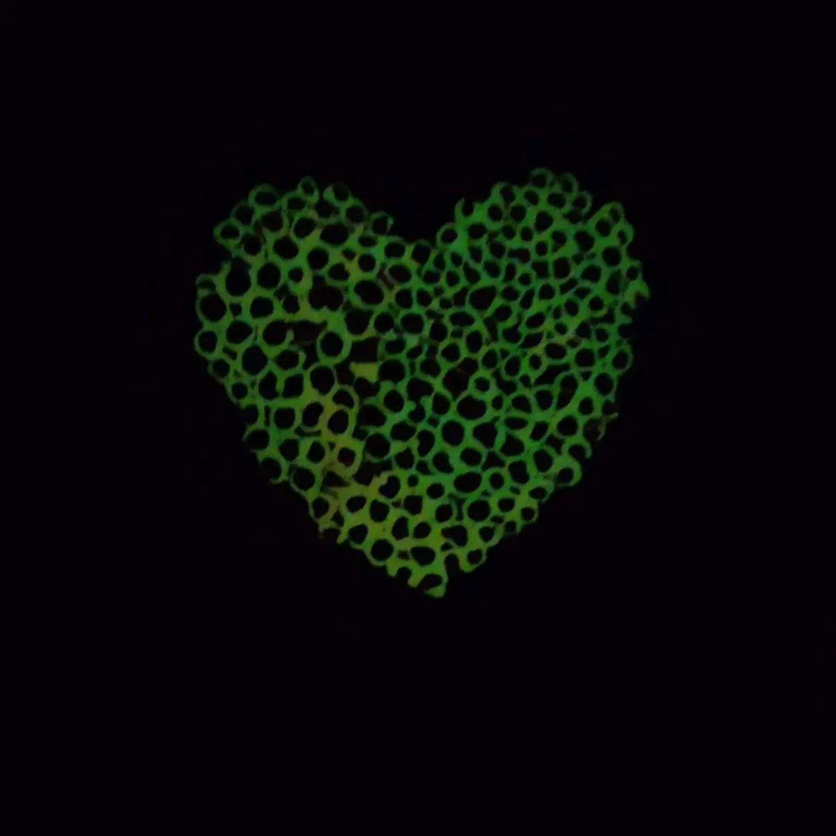 Heart in Texture Experiment - 9x9