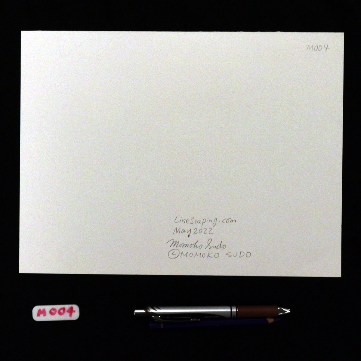 9x12 Ink Drawing on Paper M004