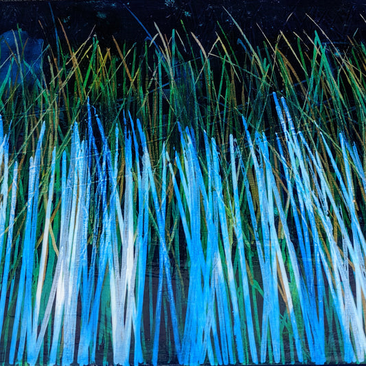 SOLD OUT - Urban Blue Grass - SOLD OUT