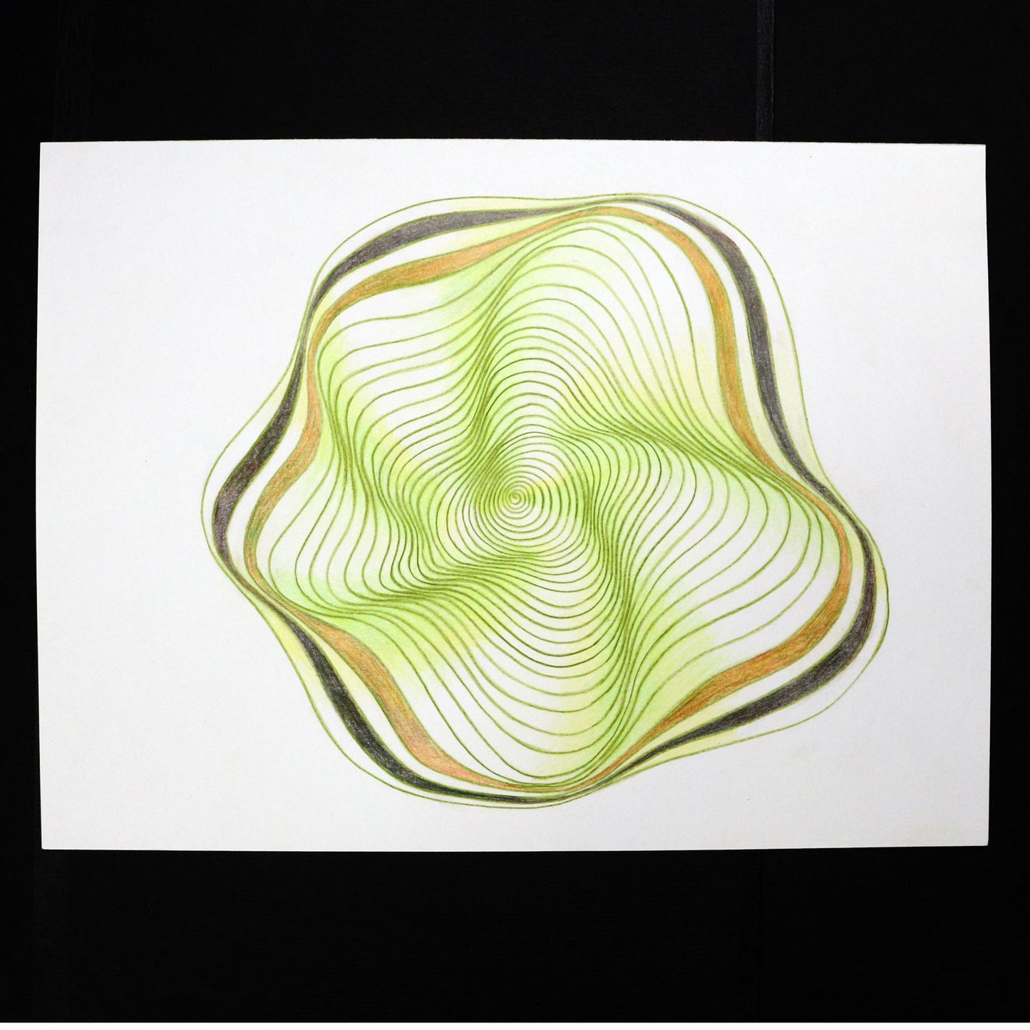 Original 9"x12"Colored Pencil Drawing on Paper - Spiral - green kiwi fruit (M110)