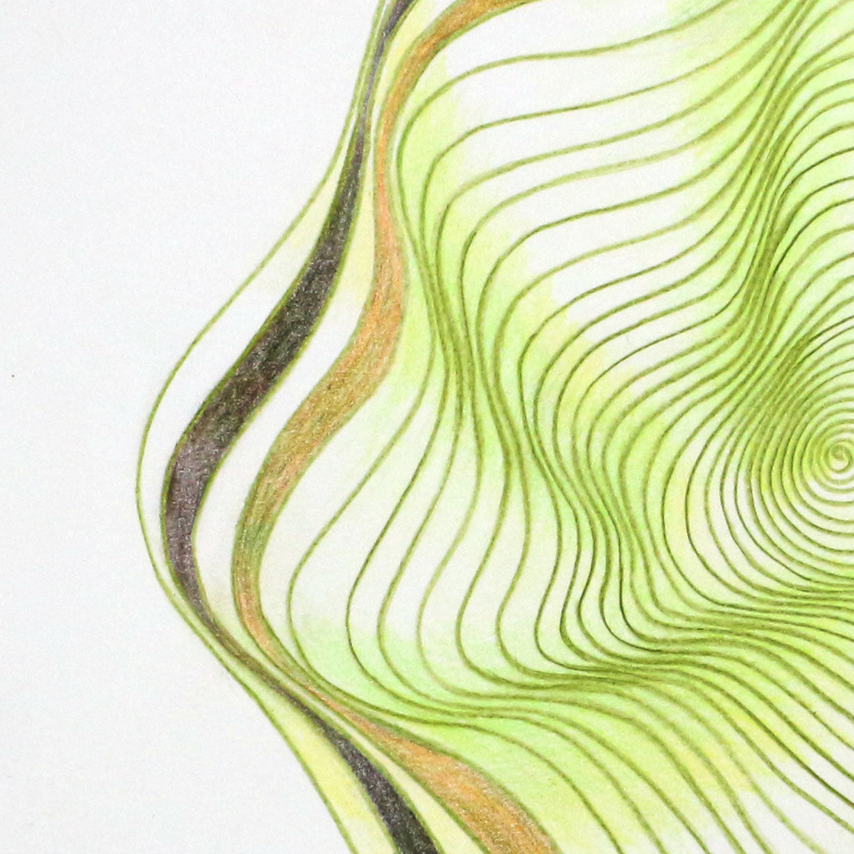 Original 9"x12"Colored Pencil Drawing on Paper - Spiral - green kiwi fruit (M110)