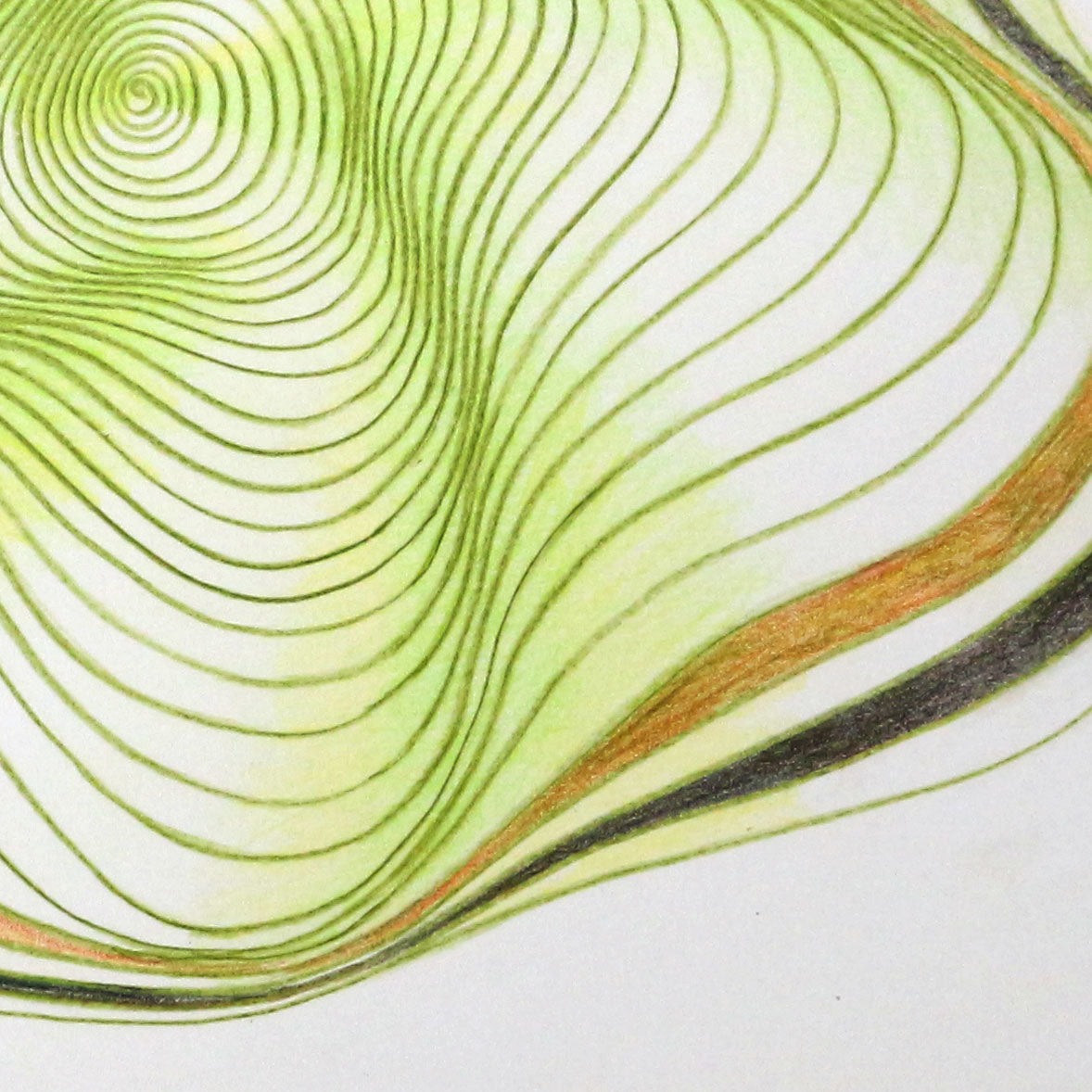 Original 9"x12"Colored Pencil Drawing on Paper - Spiral - green kiwi fruit (M110)