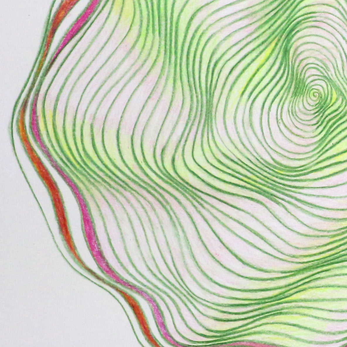 Original 9"x12"Colored Pencil Drawing on Paper - Spiral - green pink (M113)