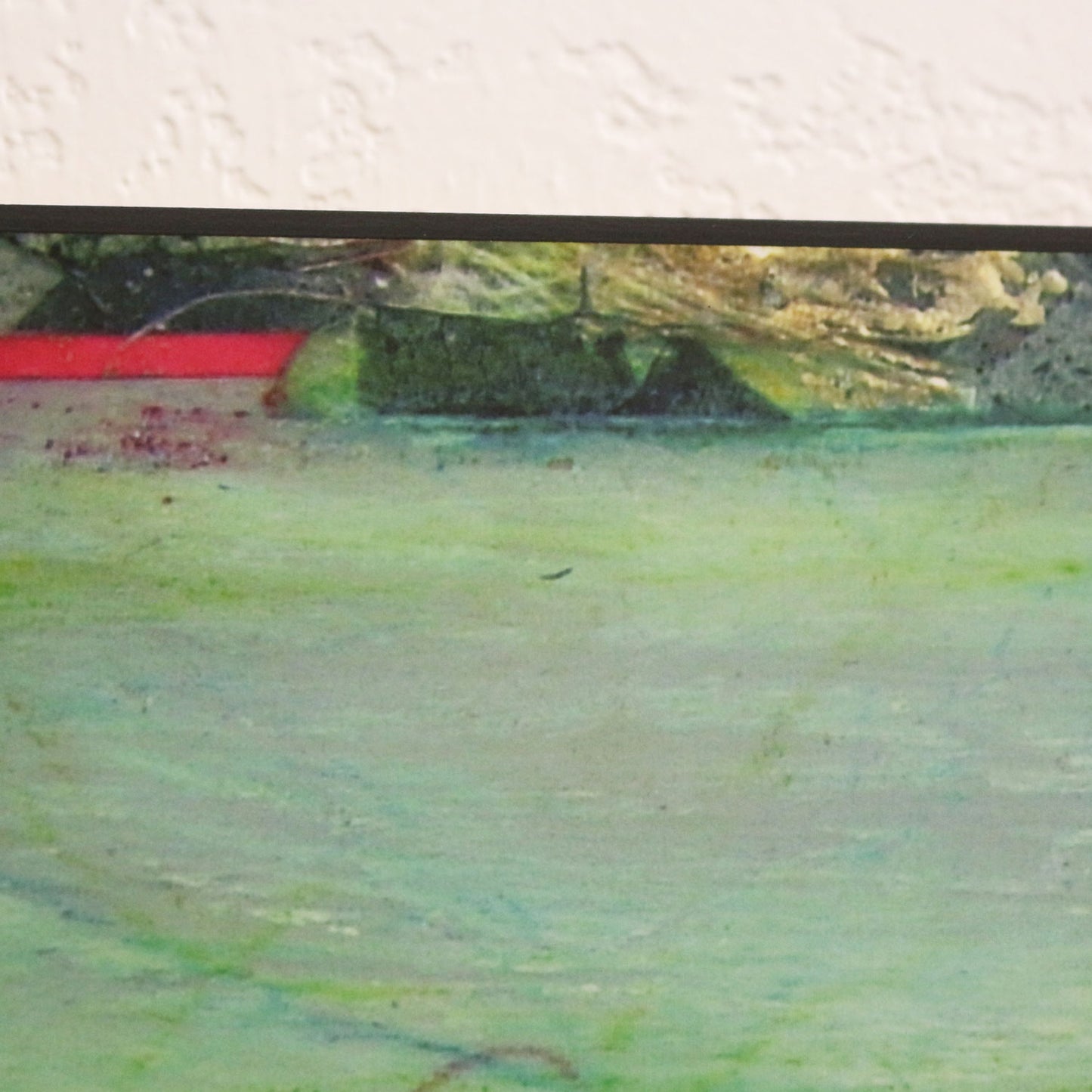 Coral Sea Laminated Print 11x8.5