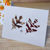 Set of 6 Original Greeting Card - Autumn